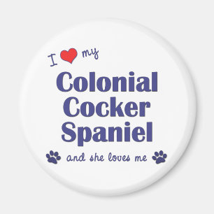 I Love My Colonial Cocker Spaniel (Female Dog) Magnet