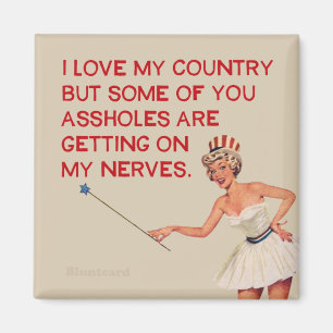 I love my country....but....... magnet