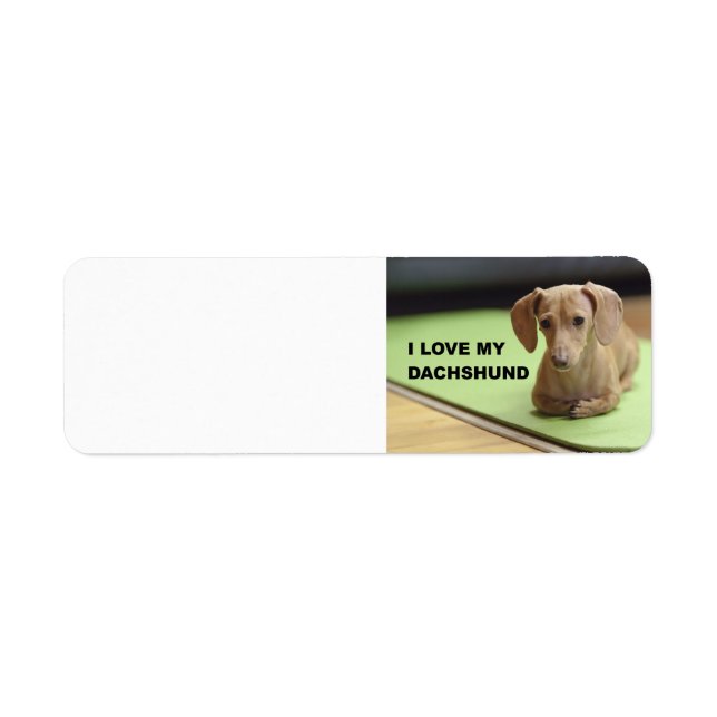 I Love My Cream Dachshund with picture Return Address Label (Front)