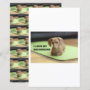 I Love My Cream Dachshund with picture scrapbook