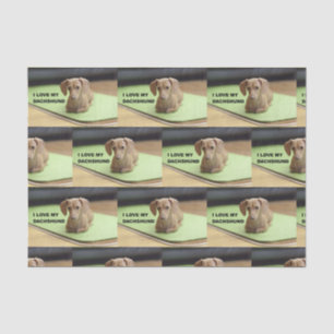 I Love My Cream Dachshund with picture Tissue Paper
