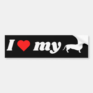 I Love my Dachshund  Bumper Sticker