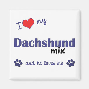I Love My Dachshund Mix (Male Dog) Magnet