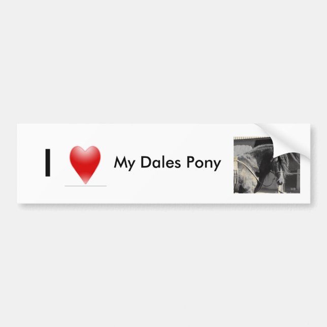 I love my Dales Pony Bumper Sticker (Front)