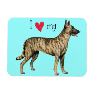 I Love my Dutch Shepherd Magnet