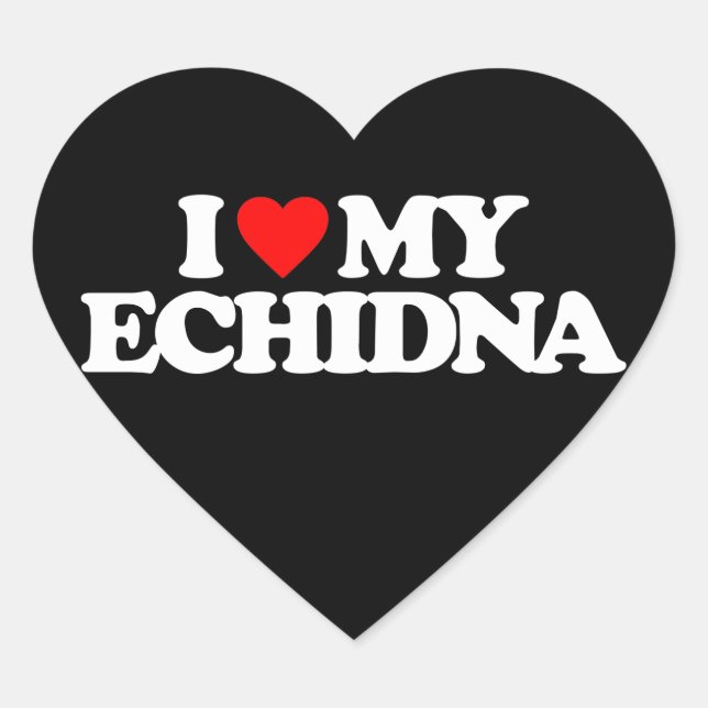I LOVE MY ECHIDNA HEART STICKER (Front)