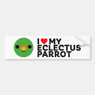 I LOVE MY ECLECTUS PARROT - Male Bumper Sticker