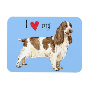 I Love my English Cocker Spaniel Magnet