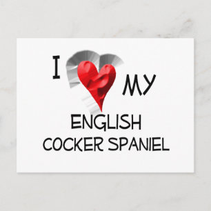 I Love My English Cocker Spaniel Postcard