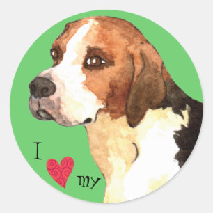 I Love my English Foxhound Classic Round Sticker