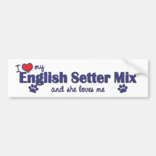 I Love My English Setter Mix (Female Dog) Bumper Sticker