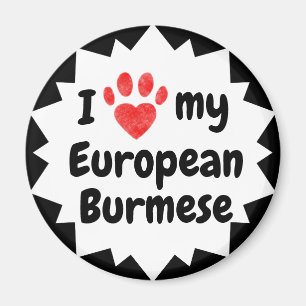 I Love My European Burmese Cat Magnet