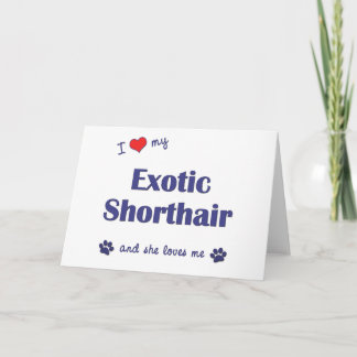I Love My Exotic Shorthair (Female Cat) Card