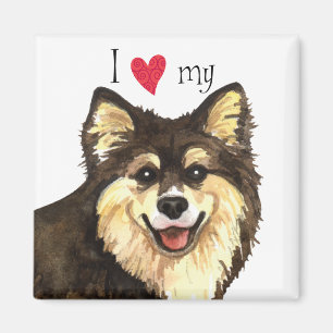 I Love my Finnish Lapphund Magnet