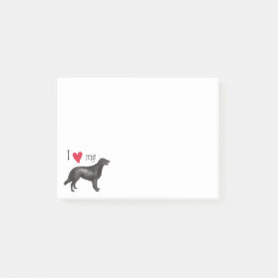 I Love my Flat-Coated Retriever Post-it Notes