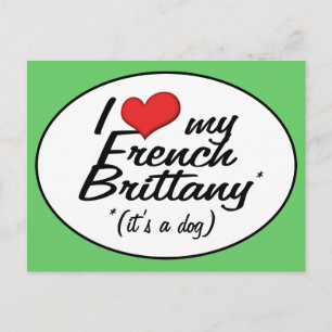 I Love My French Brittany (It's a Dog) Postcard