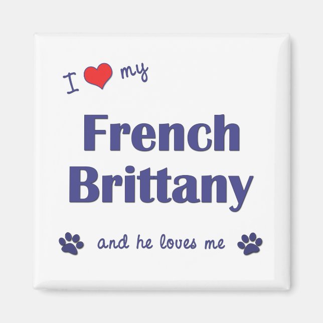 I Love My French Brittany (Male Dog) Magnet (Front)