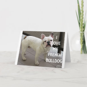 I Love My French Bulldog Card