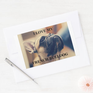 I Love My French Bulldog Rectangular Sticker