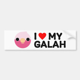 I LOVE MY GALAH BUMPER STICKER