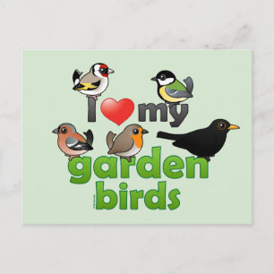 I Love My Garden Birds Postcard