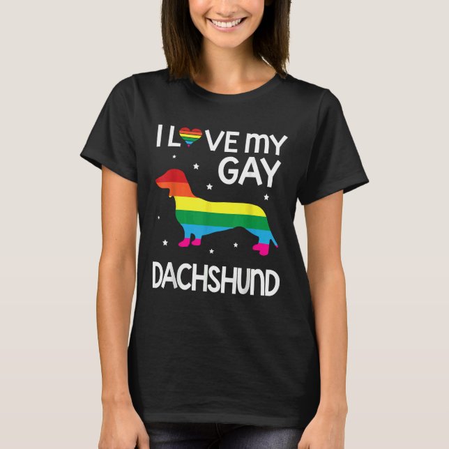 I Love My Gay Dachshund Dog Happy Lgbt Month Day D T-Shirt (Front)