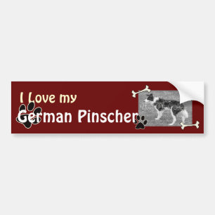 I love my German Pinscher Bumper Sticker