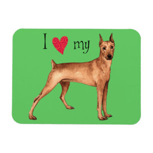 I Love my German Pinscher Magnet