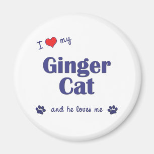 I Love My Ginger Cat (Male Cat) Magnet