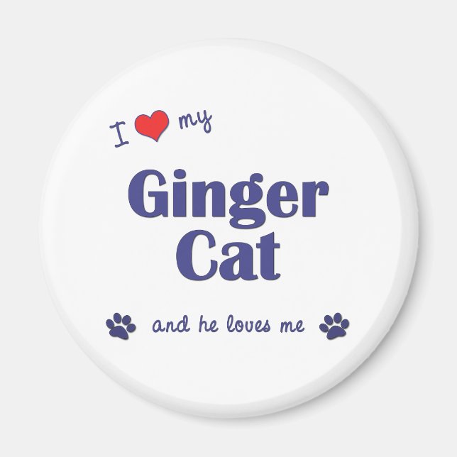 I Love My Ginger Cat (Male Cat) Magnet (Front)