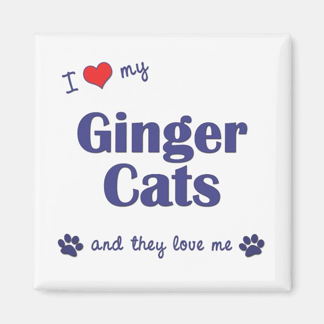 I Love My Ginger Cats (Multiple Cats) Magnet (Front)