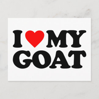 I LOVE MY GOAT POSTCARD