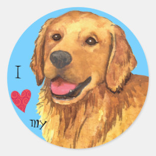 I Love my Golden Retriever Classic Round Sticker