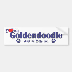 I Love My Goldendoodle (Male Dog) Bumper Sticker