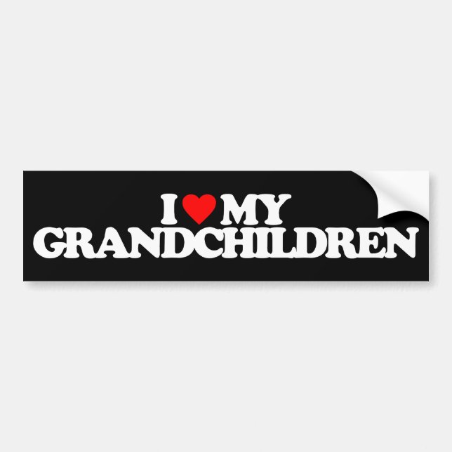 I LOVE MY GRANDCHILDREN BUMPER STICKER (Front)