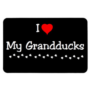 I Love My Grandducks Magnet