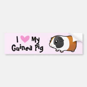 I Love My Guinea Pig / Cavy (smooth hair) Bumper Sticker