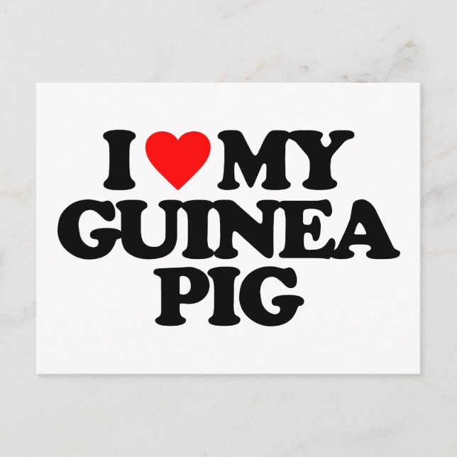I LOVE MY GUINEA PIG POSTCARD (Front)