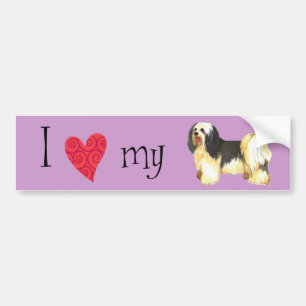 I Love my Havanese Bumper Sticker