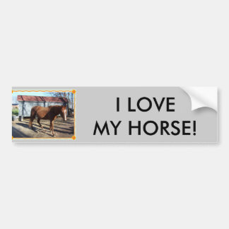 I LOVE MY HORSE! BUMPER STICKER