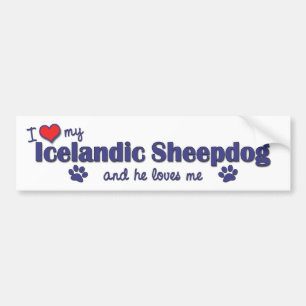 I Love My Icelandic Sheepdog (Male Dog) Bumper Sticker