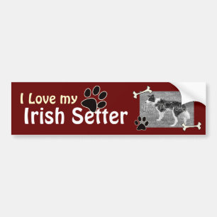 I love my Irish Setter Bumper Sticker