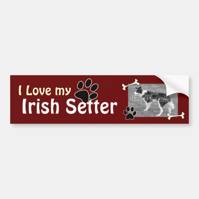 I love my Irish Setter Bumper Sticker (Front)