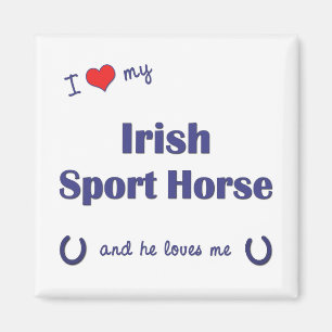 I Love My Irish Sport Horse (Male Horse) Magnet
