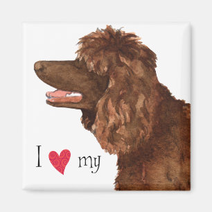I Love my Irish Water Spaniel Magnet