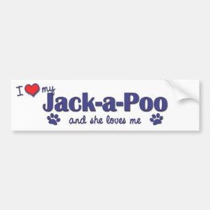 I Love My Jack-a-Poo (Female Dog) Bumper Sticker