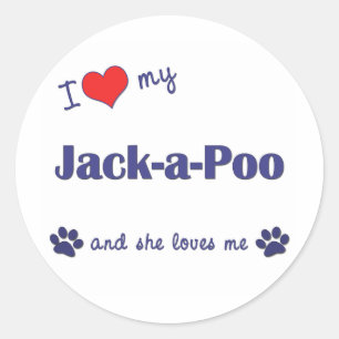 I Love My Jack-a-Poo (Female Dog) Classic Round Sticker