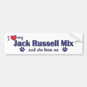 I Love My Jack Russell Mix (Female Dog) Bumper Sticker