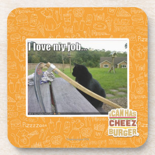 I love my job coaster