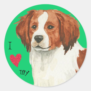 I Love my Kooikerhondje Classic Round Sticker